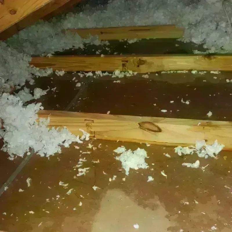 Attic Water Damage in Mars, PA