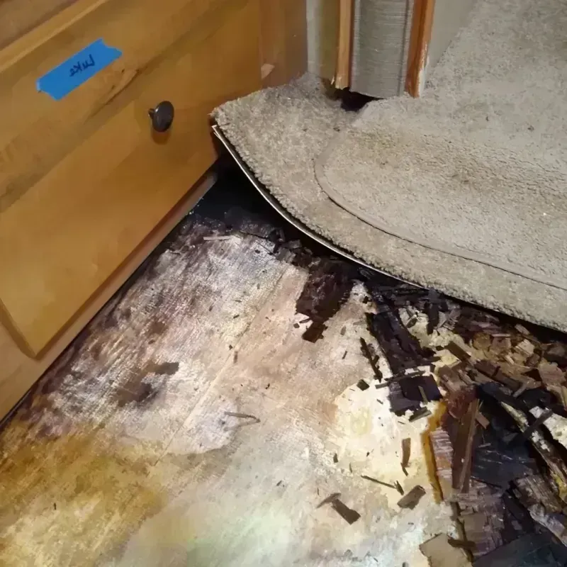 Wood Floor Water Damage in Mars, PA